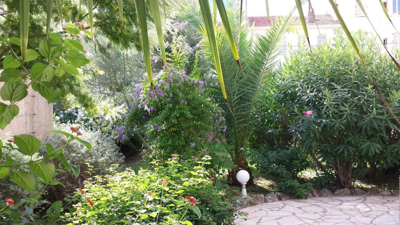 Central Avec Jardin Канни Екстер'єр фото